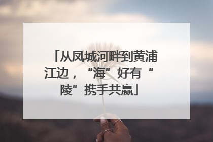 从凤城河畔到黄浦江边，“海”好有“陵”携手共赢