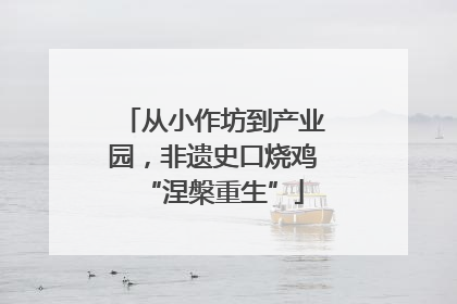 从小作坊到产业园，非遗史口烧鸡“涅槃重生”