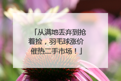 从满地丢弃到抢着捡，羽毛球涨价催热二手市场！