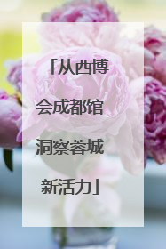 从西博会成都馆洞察蓉城新活力