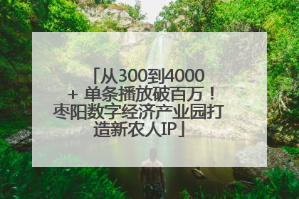从300到4000+ 单条播放破百万！枣阳数字经济产业园打造新农人IP