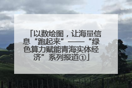 以数绘图，让海量信息“跑起来”——“绿色算力赋能青海实体经济”系列报道①