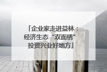 企业家走进益林：经济生态“双面绣” 投资兴业好地方