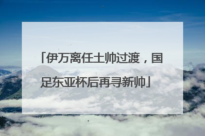 伊万离任土帅过渡，国足东亚杯后再寻新帅