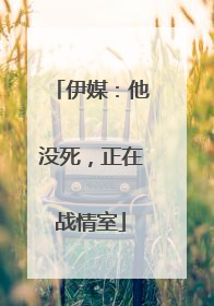 伊媒：他没死，正在战情室