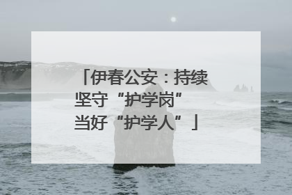 伊春公安：持续坚守“护学岗” 当好“护学人”