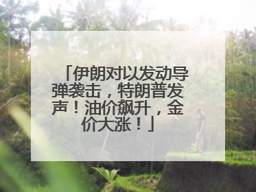 伊朗对以发动导弹袭击，特朗普发声！油价飙升，金价大涨！