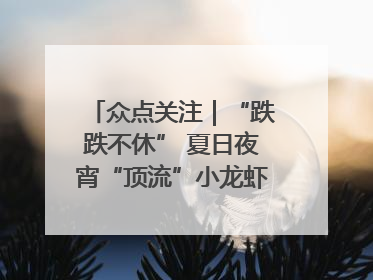 众点关注｜“跌跌不休” 夏日夜宵“顶流”小龙虾价格腰斩 东营人的快乐来了