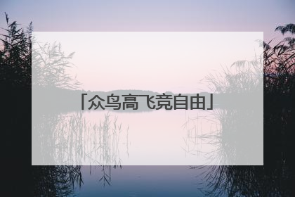 众鸟高飞竞自由