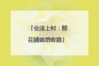 会泽上村：鲜花铺就增收路