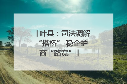 叶县：司法调解“搭桥” 稳企护商“路宽”