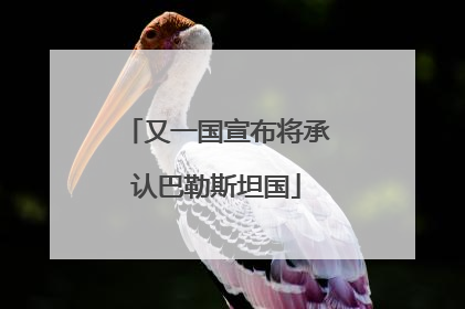 又一国宣布将承认巴勒斯坦国