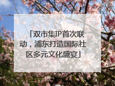 双市集IP首次联动，浦东打造国际社区多元文化盛宴