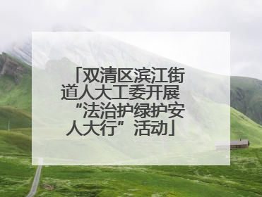 双清区滨江街道人大工委开展“法治护绿护安人大行”活动