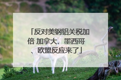 反对美钢铝关税加倍 加拿大、墨西哥、欧盟反应来了
