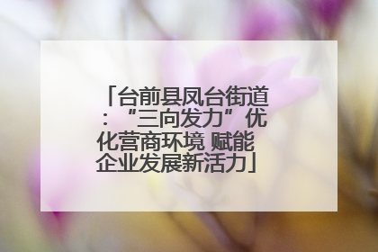 台前县凤台街道：“三向发力”优化营商环境 赋能企业发展新活力