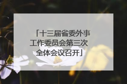 十三届省委外事工作委员会第三次全体会议召开