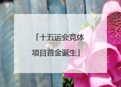 十五运会竞体项目首金诞生