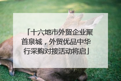 十六地市外贸企业聚首泉城，外贸优品中华行采购对接活动将启