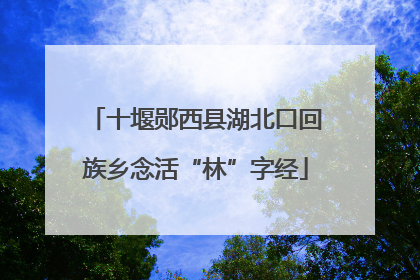十堰郧西县湖北口回族乡念活“林”字经