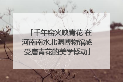 千年窑火映青花 在河南南水北调博物馆感受唐青花的美学悸动