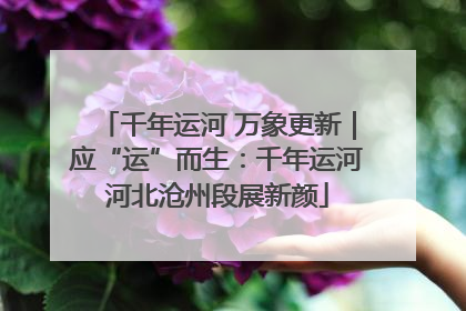 千年运河 万象更新｜应“运”而生：千年运河河北沧州段展新颜