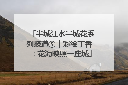 半城江水半城花系列报道⑤｜彩绘丁香：花海映照一座城