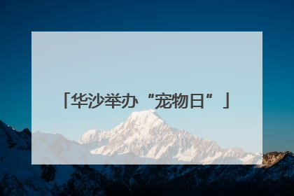 华沙举办“宠物日”
