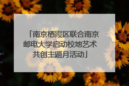 南京栖霞区联合南京邮电大学启动校地艺术共创主题月活动