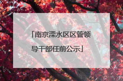 南京溧水区区管领导干部任前公示