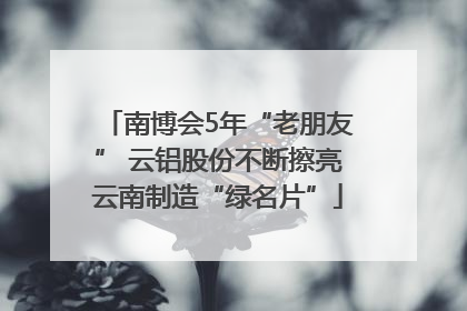 南博会5年“老朋友” 云铝股份不断擦亮云南制造“绿名片”