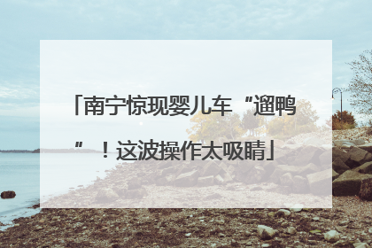 南宁惊现婴儿车“遛鸭”！这波操作太吸睛