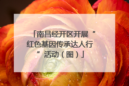 南昌经开区开展“红色基因传承达人行”活动（图）