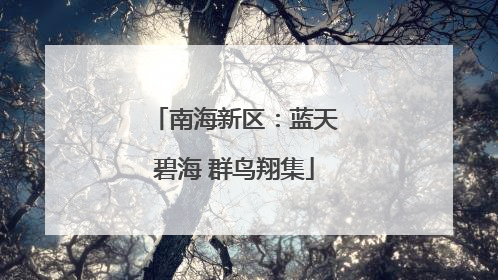 南海新区：蓝天碧海 群鸟翔集