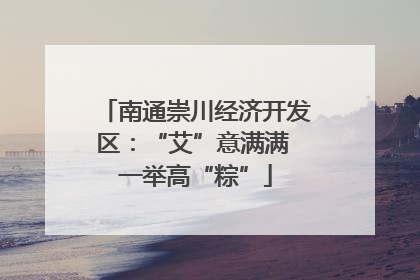 南通崇川经济开发区：“艾”意满满 一举高“粽”