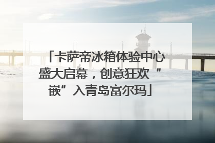 卡萨帝冰箱体验中心盛大启幕，创意狂欢“嵌”入青岛富尔玛