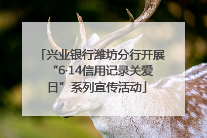 兴业银行潍坊分行开展“6·14信用记录关爱日”系列宣传活动