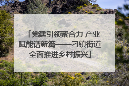 党建引领聚合力 产业赋能谱新篇——刁镇街道全面推进乡村振兴