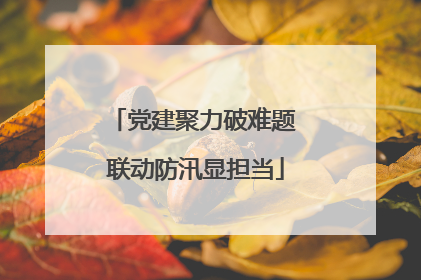 党建聚力破难题 联动防汛显担当