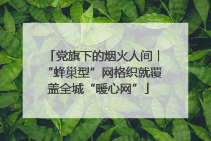 党旗下的烟火人间丨“蜂巢型”网格织就覆盖全城“暖心网”
