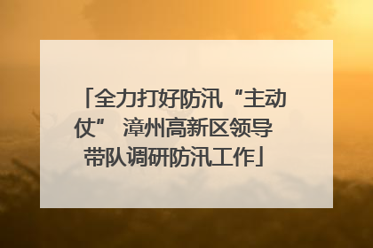 全力打好防汛“主动仗” 漳州高新区领导带队调研防汛工作