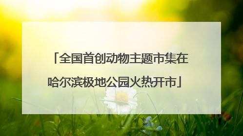 全国首创动物主题市集在哈尔滨极地公园火热开市