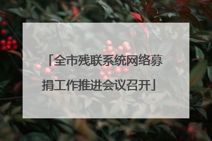 全市残联系统网络募捐工作推进会议召开