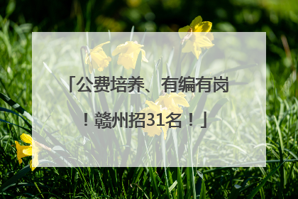 公费培养、有编有岗！赣州招31名！