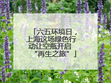 六五环境日，上海这场绿色行动让空瓶开启 “再生之旅”
