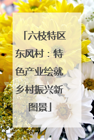 六枝特区东风村：特色产业绘就乡村振兴新图景
