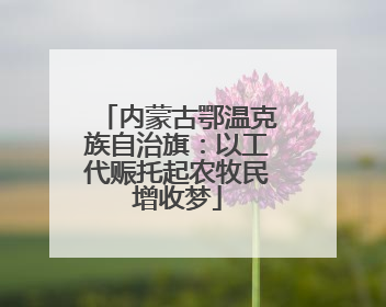 内蒙古鄂温克族自治旗：以工代赈托起农牧民增收梦