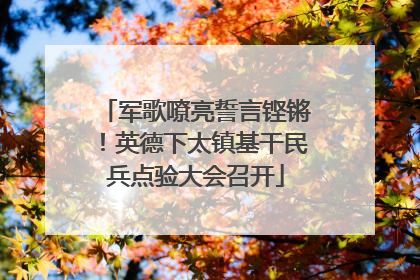 军歌嘹亮誓言铿锵！英德下太镇基干民兵点验大会召开