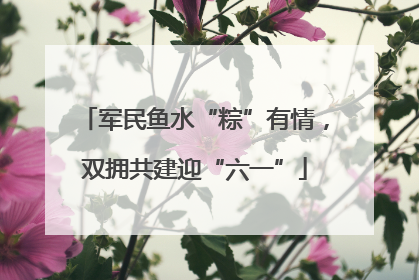 军民鱼水“粽”有情，双拥共建迎“六一”
