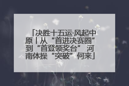 决胜十五运·风起中原丨从“首进决赛圈”到“首登领奖台” 河南体操“突破”何来